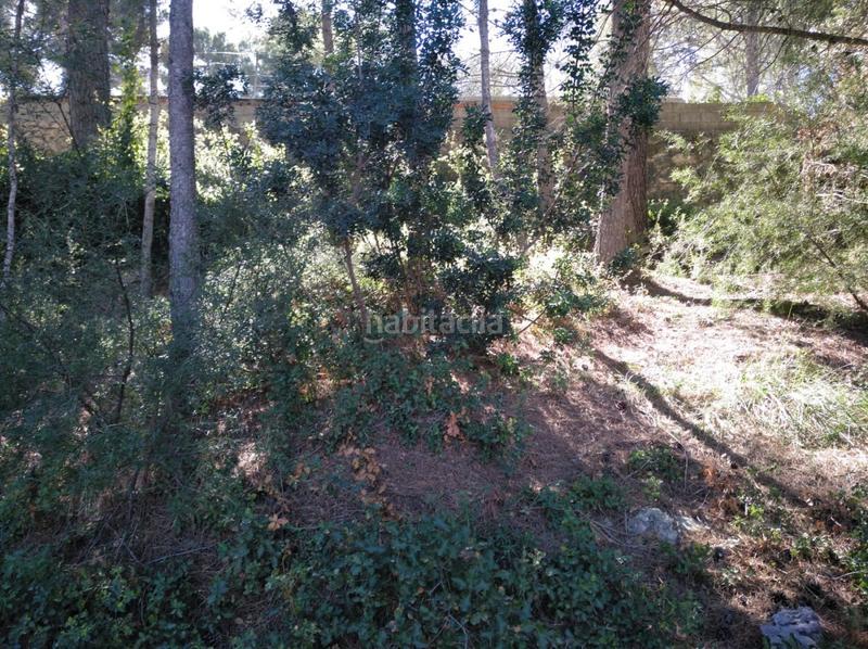 Foto c5097424-6a55-42a1-83c8-127a543d3e2a. Terreny residencial a Gestalgar