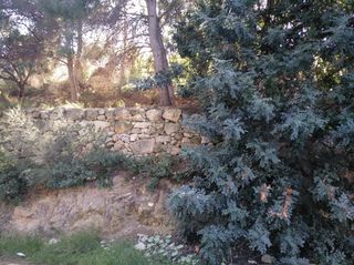 Terreno residenziale in Gestalgar. Parcela suelo urbano en godelleta