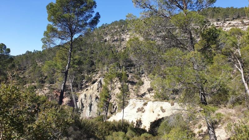 Foto 11f6d997-92a7-442a-a8b3-da52c0b1bb26. Wohngrundstück in Requena