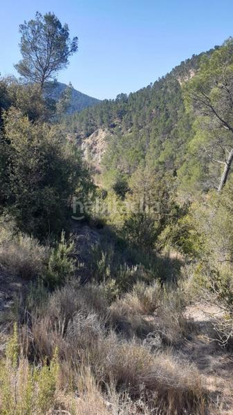 Foto 30082649-88c6-4977-a8ea-458ba84feeb1. Wohngrundstück in Requena