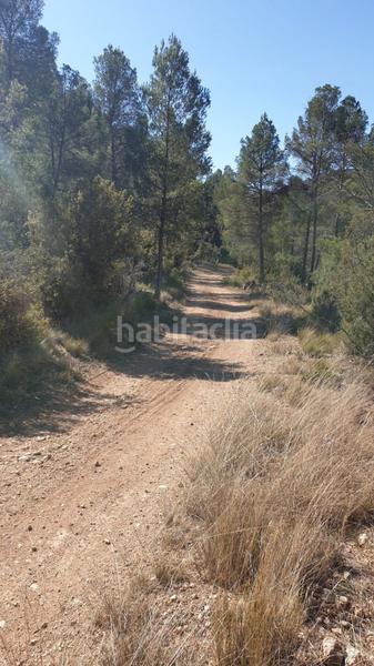 Foto 35fda5bb-6cbc-488f-81b7-ffd5401105bd. Wohngrundstück in Requena