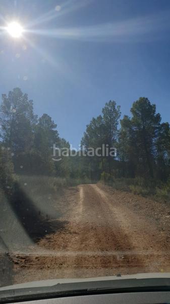 Foto 462761e4-7ba0-40c2-b92d-a487f6ba09b7. Wohngrundstück in Requena