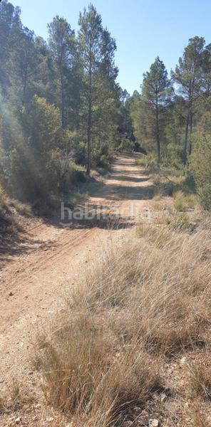 Foto 570a5ae1-0aa4-49a9-af17-c8f940cdfd99. Wohngrundstück in Requena