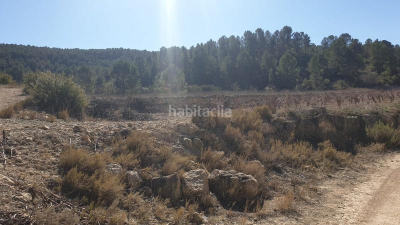 Foto 60b9a8d0-b537-4e8b-9152-f0c00848810c. Wohngrundstück in Requena