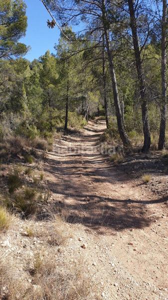 Foto 6e2692f5-8edb-462b-b205-07f45ca8ad60. Wohngrundstück in Requena