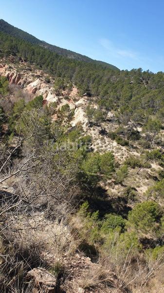 Foto 74127cb4-c92b-48b7-9326-f07e97e60f42. Wohngrundstück in Requena