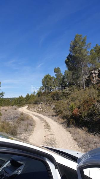 Foto 7d7e7c43-fac4-4cea-bfa0-298f1f62cd44. Wohngrundstück in Requena