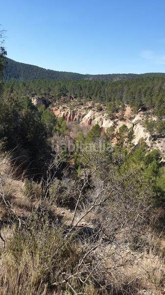 Foto 7e8458ca-8e29-478f-ad74-cf5120206d68. Wohngrundstück in Requena