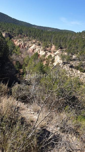 Foto 823a8ff0-af7c-4077-85c6-f0652a4d5b28. Wohngrundstück in Requena