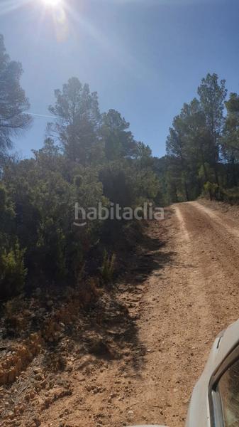 Foto 88a9a3ea-dd74-4433-a4fd-90c4ab70a447. Wohngrundstück in Requena