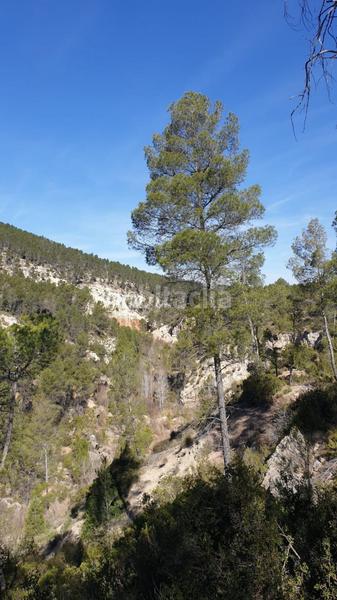 Foto 8c2cda09-3f79-4921-b9c7-f7ef2e7745fb. Wohngrundstück in Requena