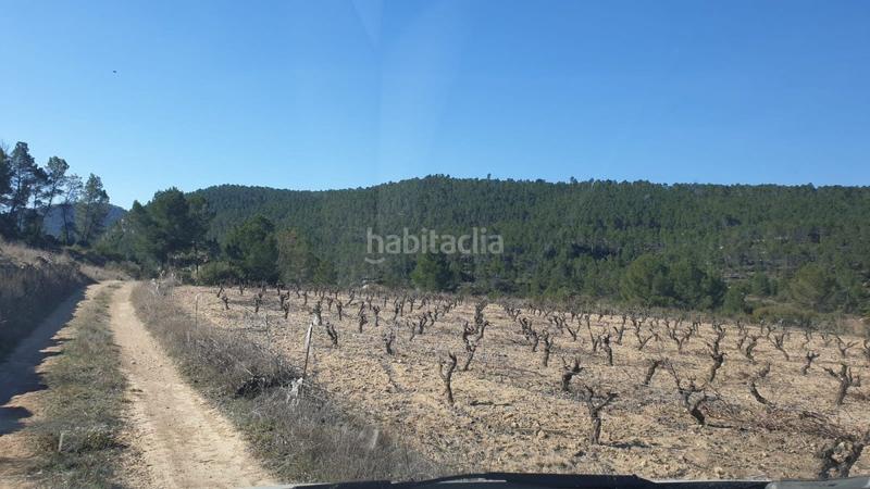 Foto 91da250d-09c9-45f5-9522-c6c97562855f. Wohngrundstück in Requena