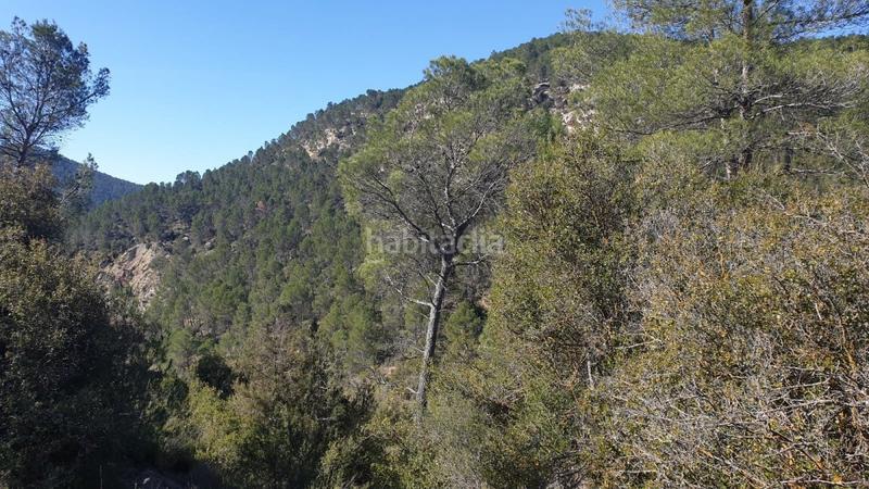 Foto 96fa4fdd-efea-40f6-b6c1-e427a57fea0f. Wohngrundstück in Requena