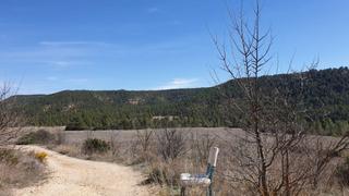 Terreny residencial a Requena. Terreno rustico en requena  8 hectareas 80.000 metros