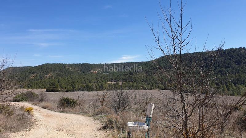 Foto c4d65bd5-5394-4a1e-9d33-f2bc09117e7a. Wohngrundstück in Requena