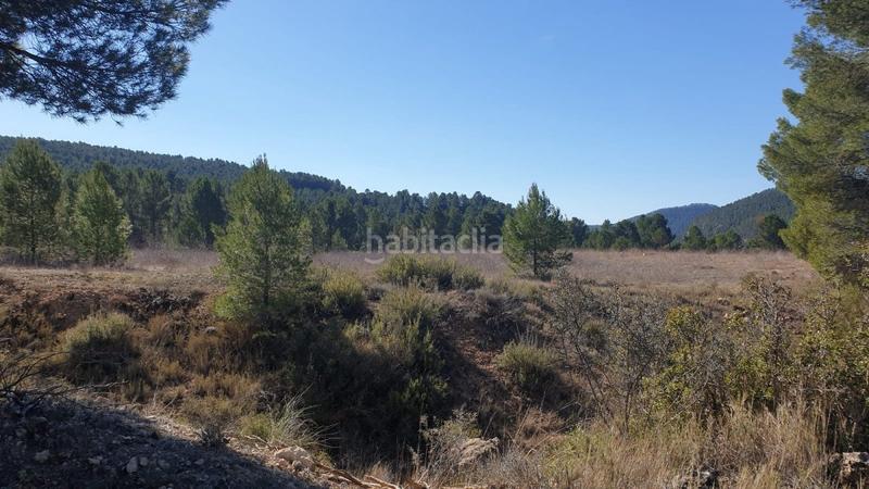 Foto d4c643ce-91dc-47d7-93a1-0ff88d234f54. Wohngrundstück in Requena