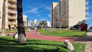 Appartement  Calle mar blau. Se vende magnifico apartamento