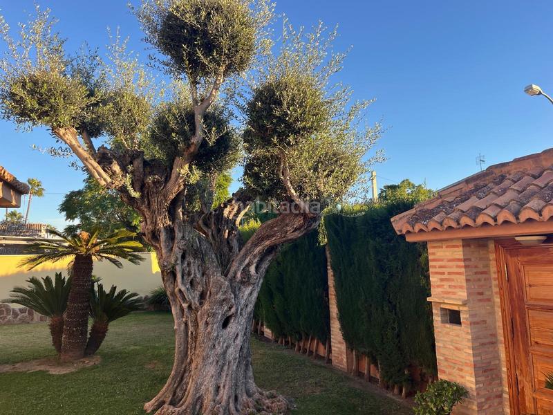 Foto 4f700993-541f-450e-bbfc-2c9209f7a3d6. Alquiler chalet en El Carme-Sant Agustí-Bonavista Eliana (l´)