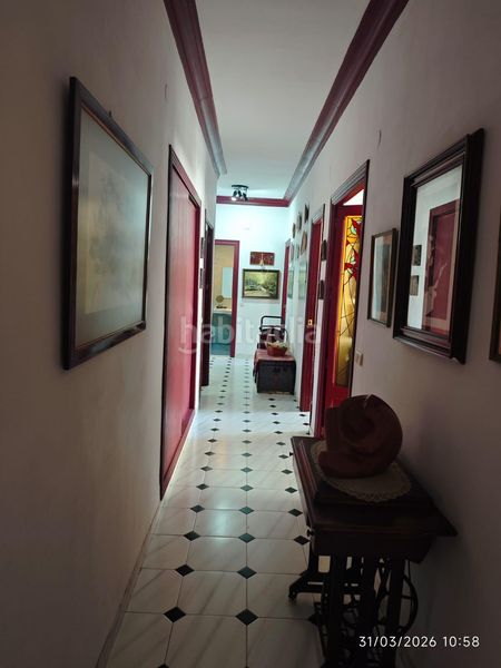 Foto 4a479fd4-7835-4dd0-bfe7-9f8d0ecde610. Pis a Arrancapins Valencia