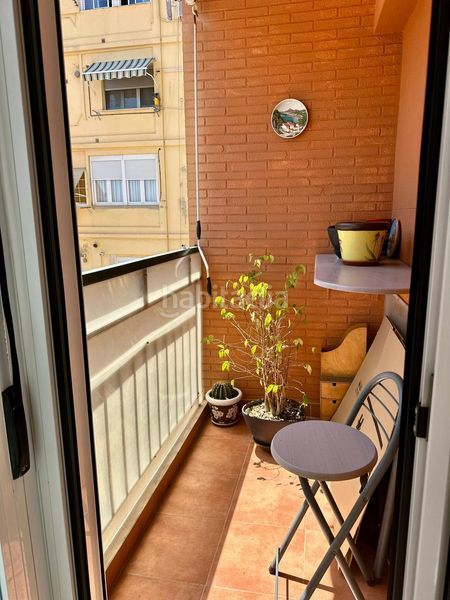 Foto 35792745-bddb-4a04-b6c8-ec563ca3800e. Pis a Mont Olivet Valencia