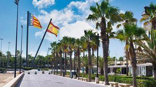 Pis a Calle OSET