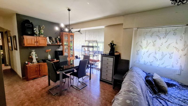 Foto b64de321-309f-45d8-aa5a-c2ea2fef6f8d. Pis a Malva Rosa Valencia