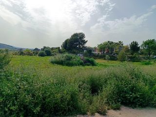Residential Plot in Turís