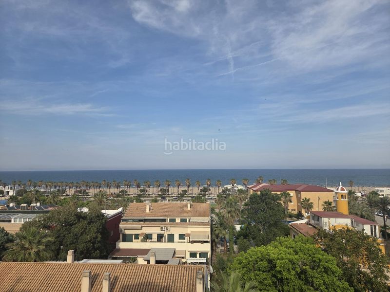 Foto d3550000-1b6b-4c36-896c-ff7beba0a55e. Pis a Malva Rosa Valencia