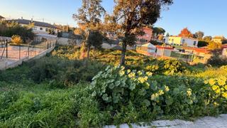 Terreny residencial a Sils. Bonito terreno en urb. king park