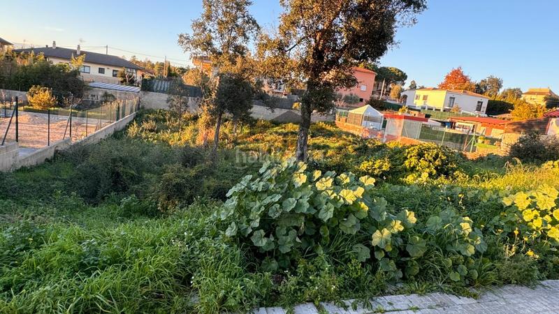 Foto 2882b16c-152e-41d9-bc74-ed094fda123e. Terreno residenziale in Sils