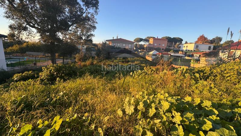 Foto 9a48e4c8-fd78-4013-93de-7447a1b2ebc5. Terreno residenziale in Sils