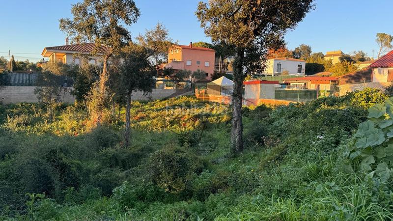 Foto d3387c66-ff5e-4eea-a8d4-83cba1a92bec. Terreno residenziale in Sils