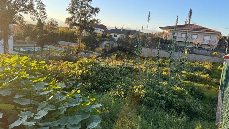 Foto fd549f7c-4759-4601-a162-d95e9a87ced0. Terreno residenziale in Sils