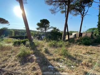 Terreny residencial a Terrafortuna - Puig Ventós. Bonito terreno en venta en urb. terrafortuna
