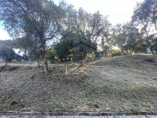 Terreny residencial a Montbarbat. Bonito terreno en la urb. de montbarbat