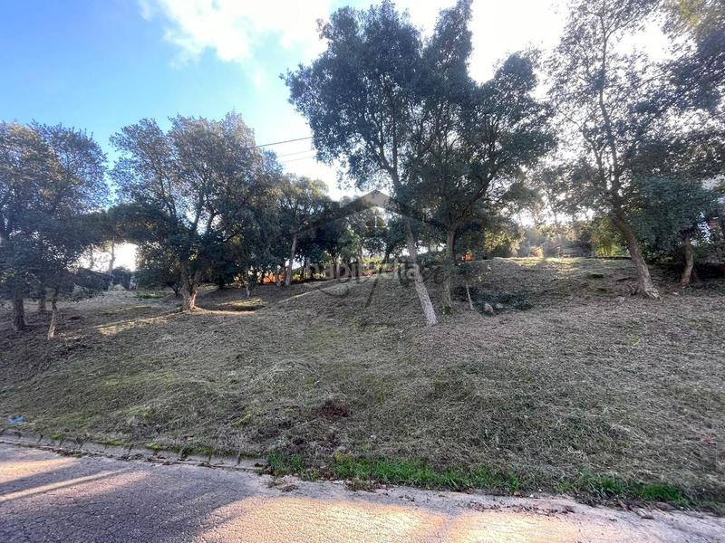 Foto fd75dec9-6ec5-4342-9842-21a29d266ca4. Terreno residenziale in Montbarbat Maçanet de la Selva