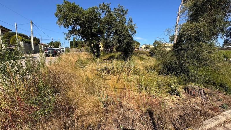 Foto 1ec78ecc-23b7-479a-b61f-a6387263d048. Terreno residenziale in Sils