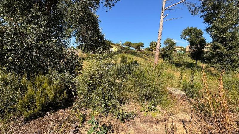 Foto 46814cf6-be55-42dd-b5fe-4f66b40934b7. Terreno residenziale in Sils