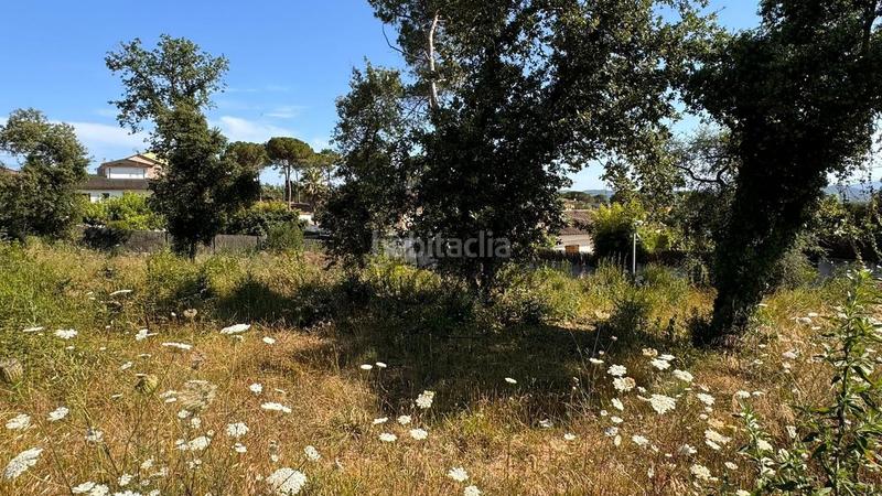 Foto 90745a85-bd1b-4288-97d4-60bf4b7fcdc1. Terreno residenziale in Sils