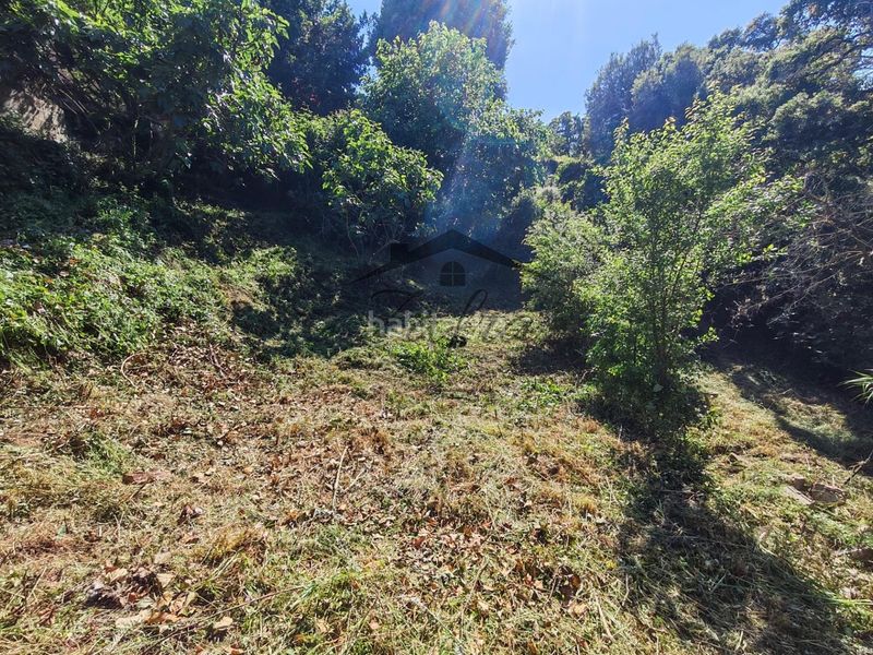 Foto 77f7d151-9564-4b96-8605-977b3948076f. Casa a Niàgara Parc -Àgora Parc Tordera