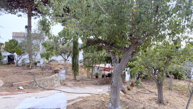 Foto a4e3e266-408b-484a-aab2-7c22fe4bcf55. Casa amb aparcament piscina a Montbarbat Maçanet de la Selva