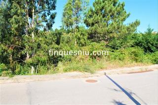 Terreny residencial a Riudarenes. Muy bien situado