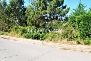Terreny residencial a Riudarenes. Muy bien situado