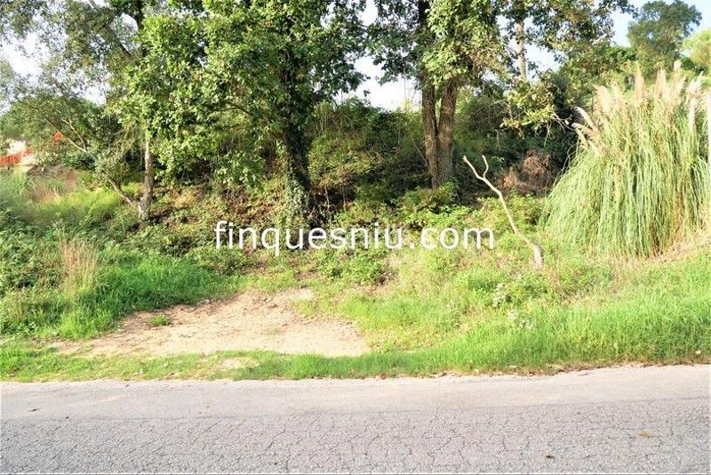 Foto 173607d7-78a3-432a-9c55-9373c96a9302. Terreno residencial en Montbarbat Maçanet de la Selva