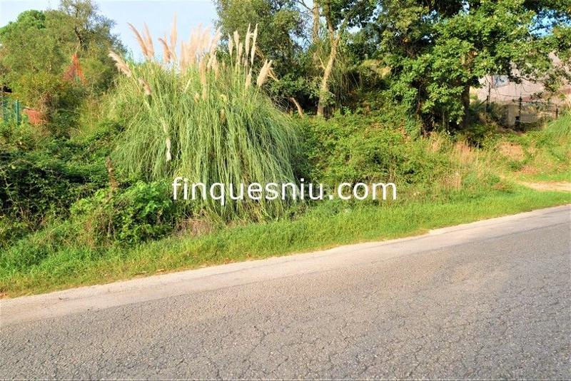 Foto f60e7c42-c2c6-48d8-91d1-c7b3b8322b47. Terreno residencial en Montbarbat Maçanet de la Selva