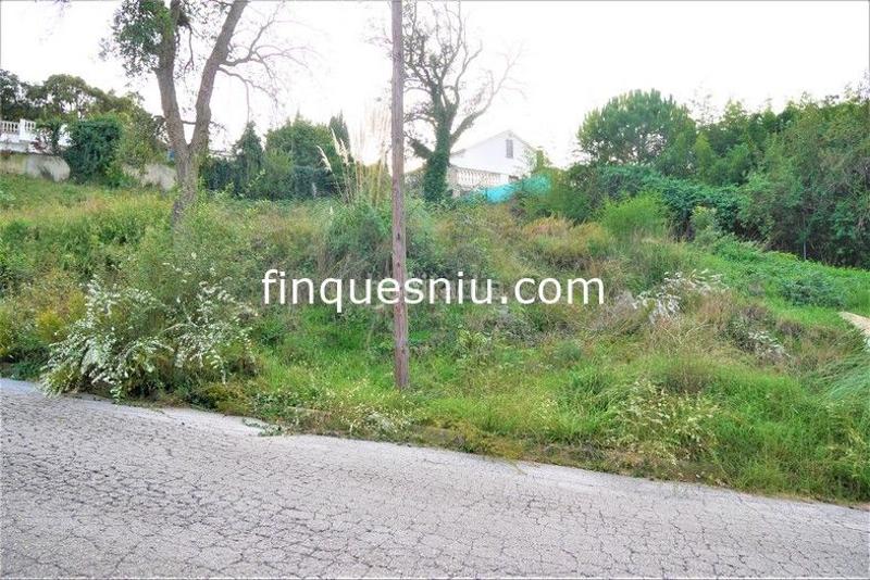 Foto dbaf79a2-5bcd-4b6f-944e-a17b8c5c7a76. Terreny residencial a Montbarbat Maçanet de la Selva