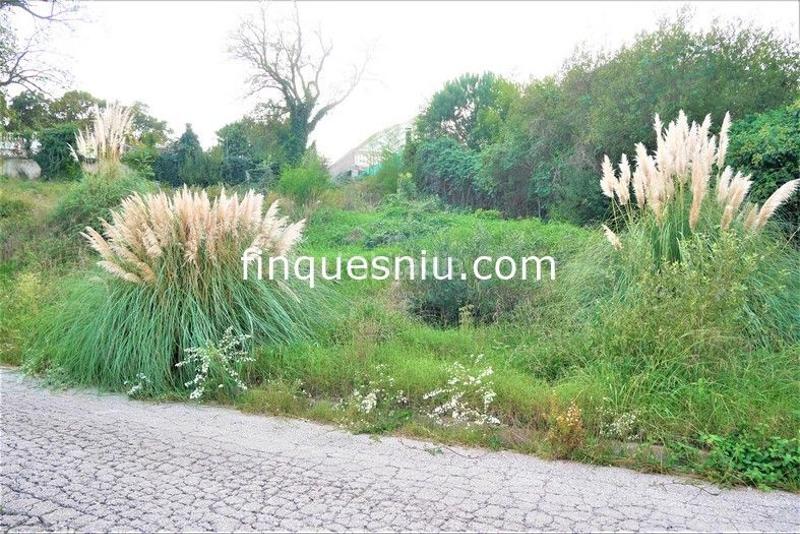 Foto edd8bf81-6851-4053-824f-77033e8acbf7. Terreny residencial a Montbarbat Maçanet de la Selva