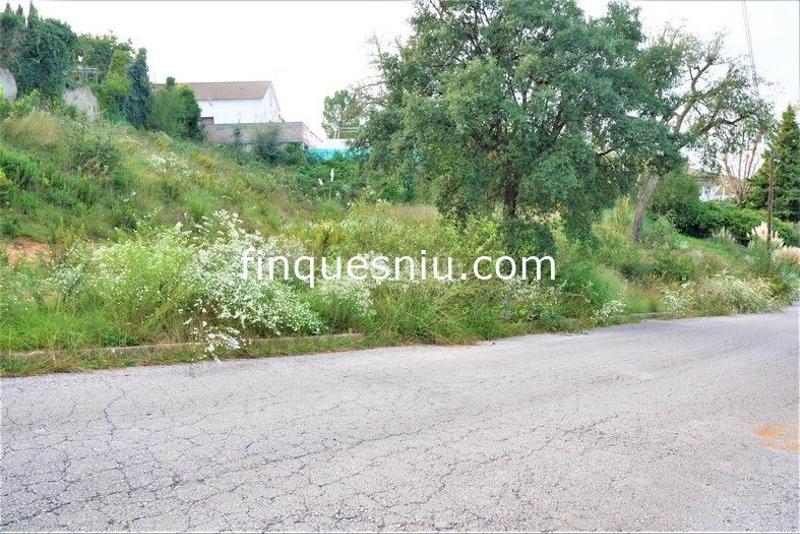 Foto 0ac719be-3269-4321-91f8-63ed360ea0ed. Residential plot in Montbarbat Maçanet de la Selva