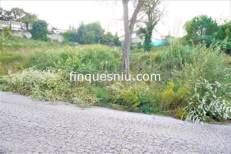 Foto 0984e3b8-2b60-4eef-85fd-b50733d380b6. Terreno residenziale in Montbarbat Maçanet de la Selva