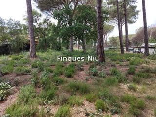 Wohngrundstück in Carrer gardènia 1a